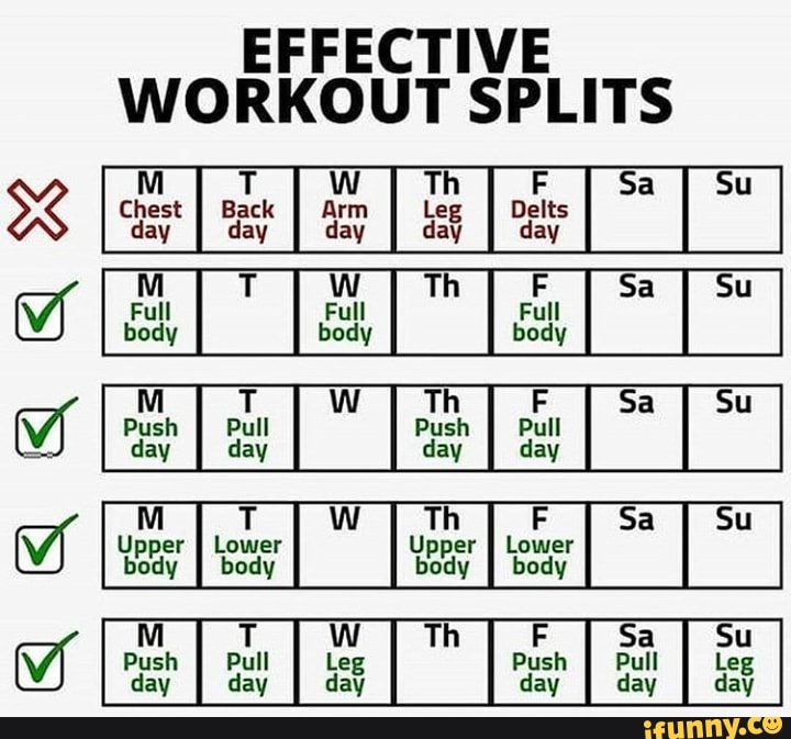 EFFECTIVE WORKOUT SPLITS Chest Back Arm Leg Delts day dav day dav dav M