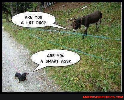 ARE YOU HOT DO
ARE you
SMART ASS?
