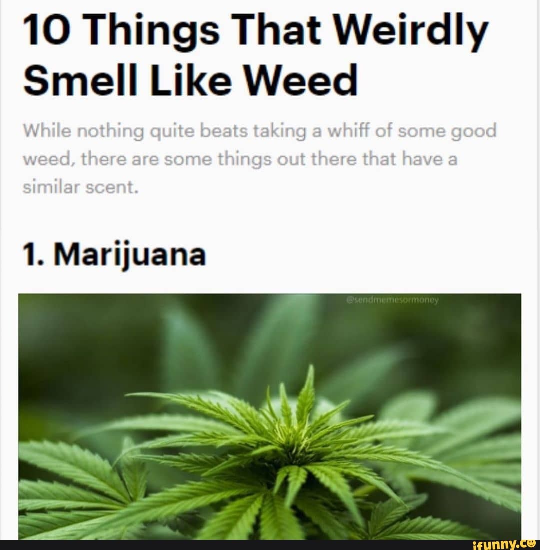 Quite nothing. Things that smell. Weed memes. 420 Blaze it. Нашивка i like Weed.