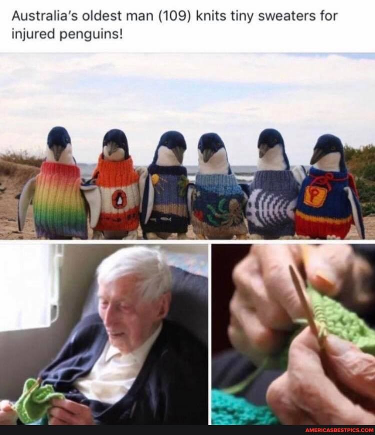 Australia's oldest man (109) knits tiny sweaters for injured penguins!