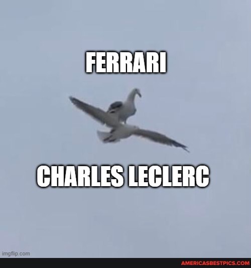 FERRARI
CHARLES LECLERC