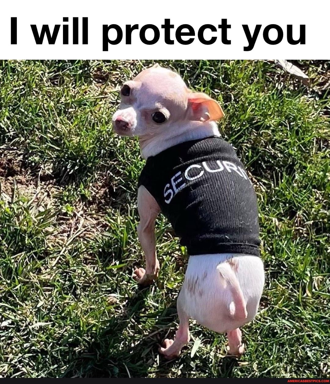 will protect you
