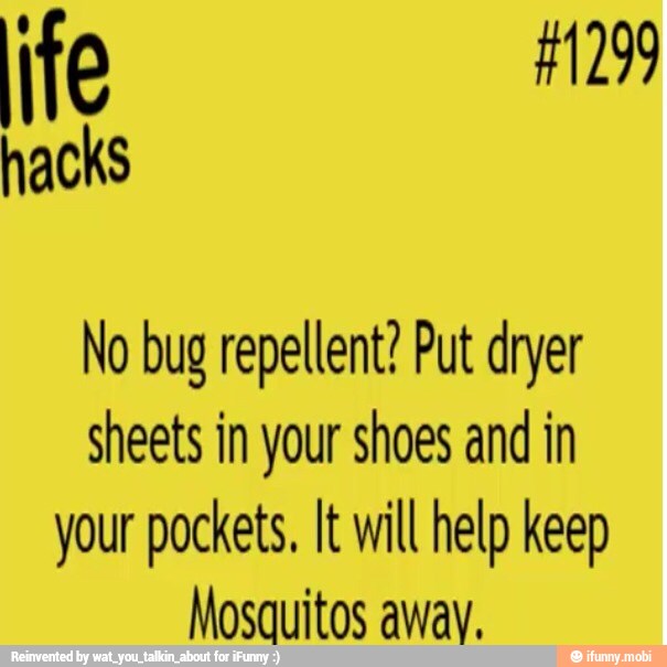 No bug repellent? Put dryer
sheets in your shoes and in
your pockets, It will help keep
Mosauitos away.