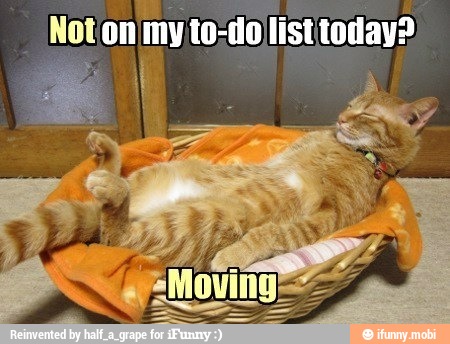 Not'on my to-do listtoday?