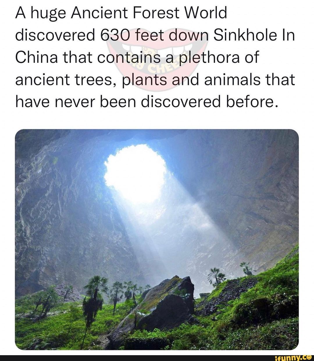 A huge Ancient Forest World discovered 630 feet down Sinkhole In China ...