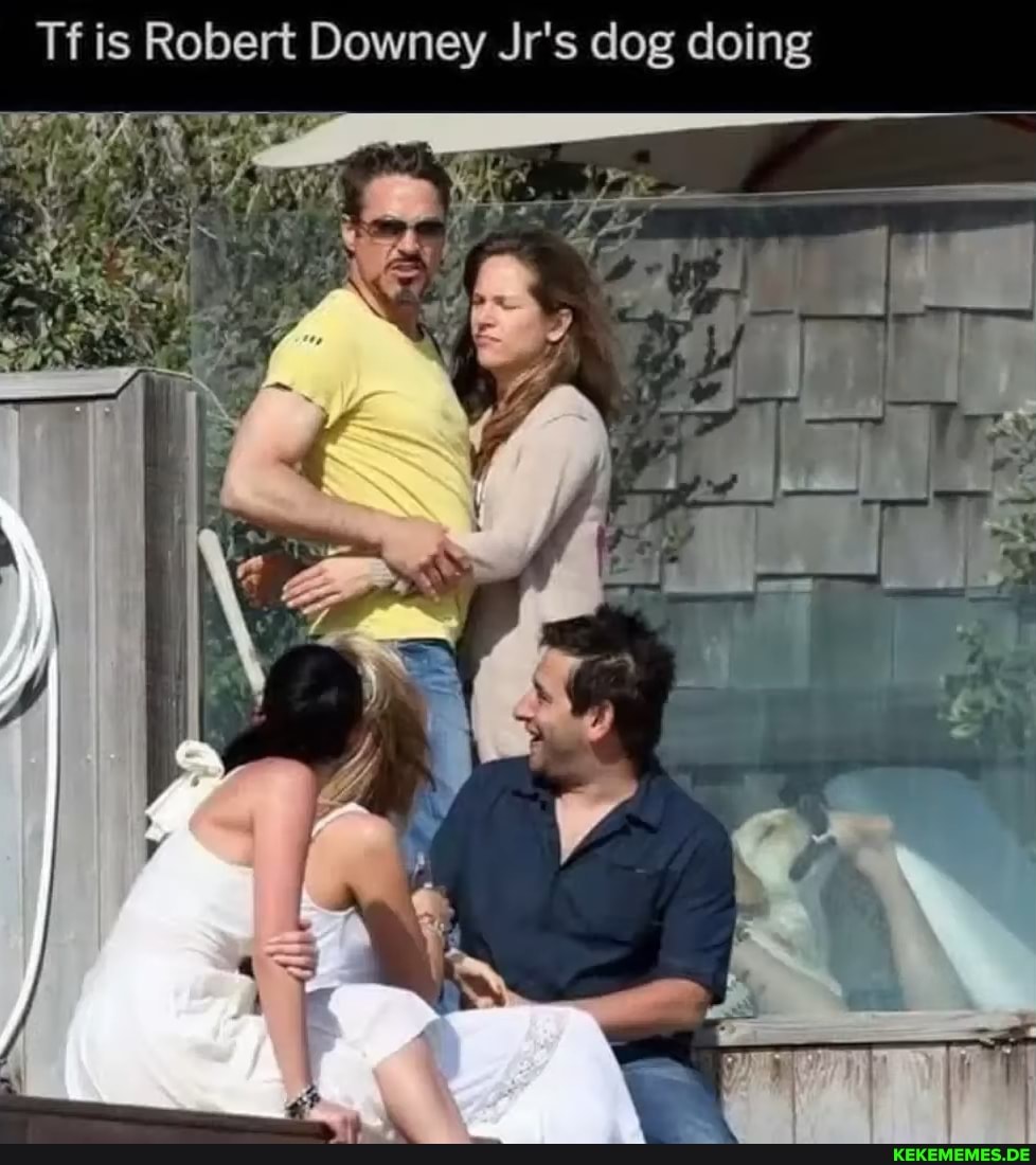 Tf is Robert Downey Jr's dog doing