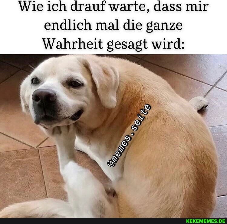 Wie ich drauf warte, dass mir endlich mal die ganze
Wahrheit gesagt wird: