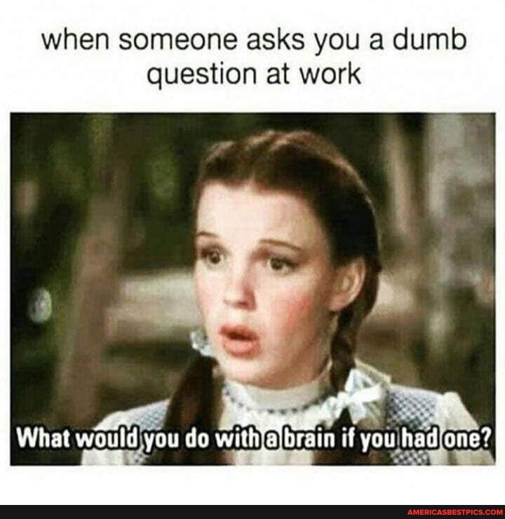 when someone asks you a dumb question at work
What would you do if you had one?