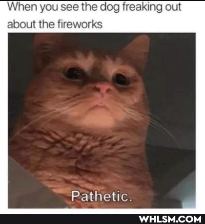 When you see the dog freaking out about the fireworks
Pathetic.