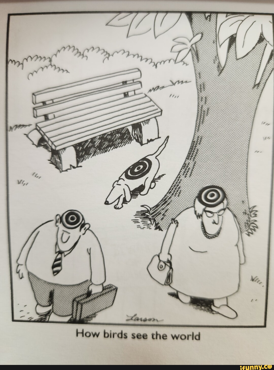 How birds see the world iFunny