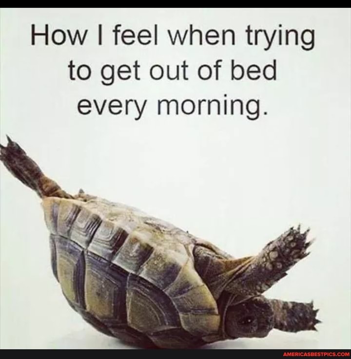 How I feel when trying to get out of bed every morning.