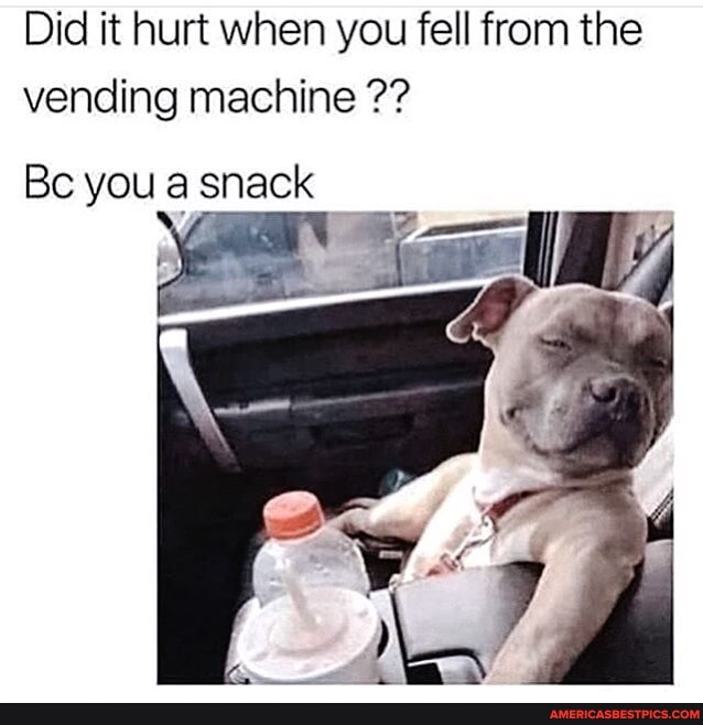 Did it hurt when you fell from the vending machine
Bc you a snack
