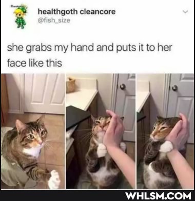 healthgoth cleancore
she grabs my hand and puts it to her face like this