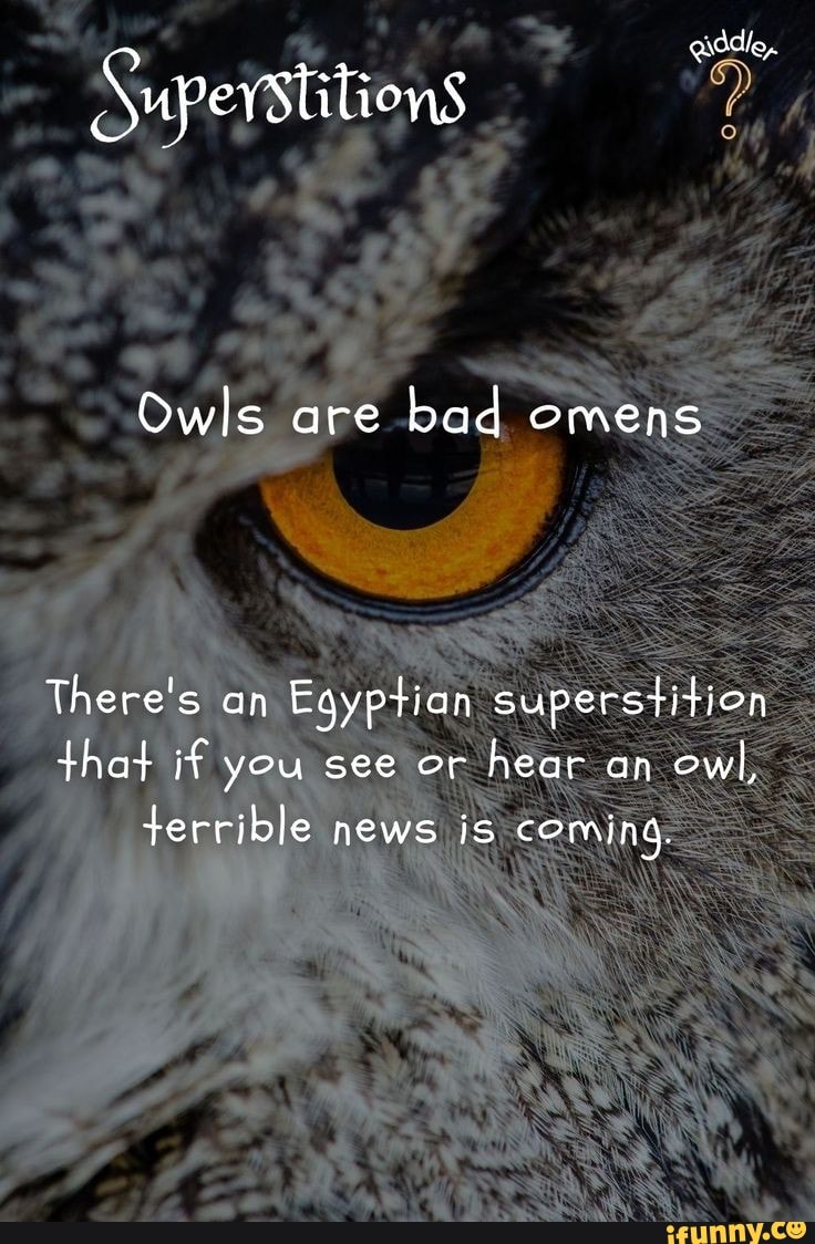 Addle, Superstitions Owls are bad omens There's an Eqyptian