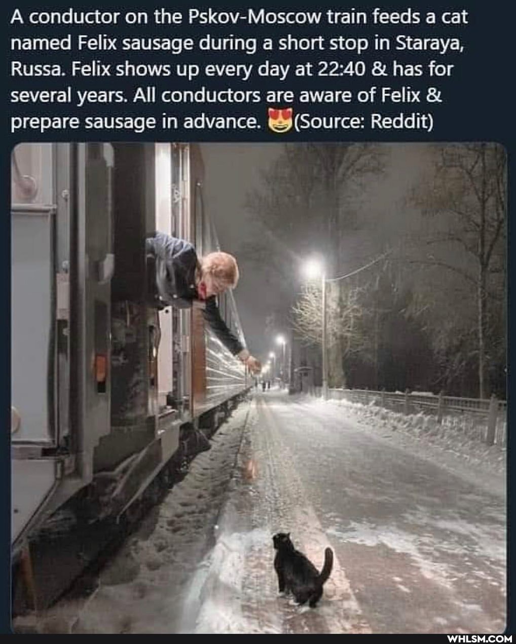 A conductor on the Pskov-Moscow train feeds a cat named Felix sausage during a short stop in Staraya,
Russa. Felix shows up every day at 2240 & has for several years. All conductors are aware of Felix & prepare sausage in advance. (Source: Reddit)