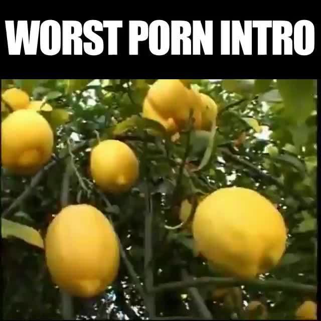 Worst Porn Intros