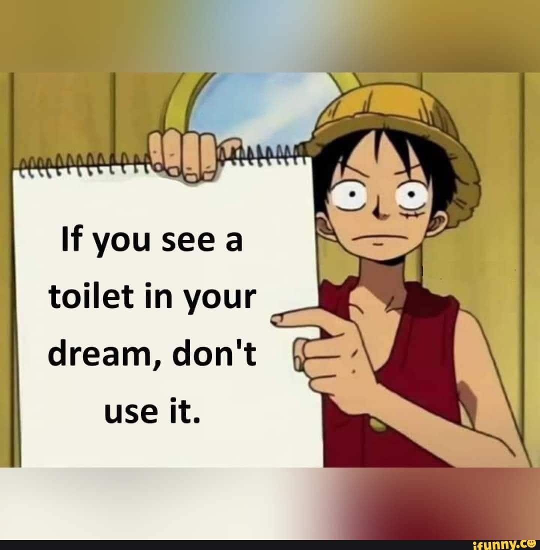 If you see a toilet in your dream, don't use it. iFunny