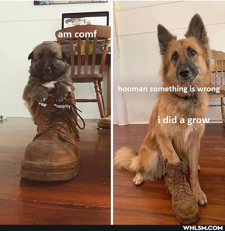 hooman something is wrong
idid a grow