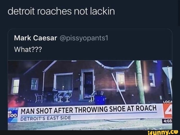 Detroit roaches not lackin Mark Caesar pissyopants1 What??? I MAN SHOT AFTER THROWING SHOE AT