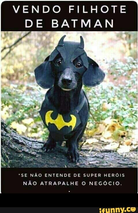 VENDO FILHOTE
DE BATMAN
"SE NÃO ENTENDE DE SUPER HERÓIS
NÃO ATRAPALHE O NEGÓCIO, -