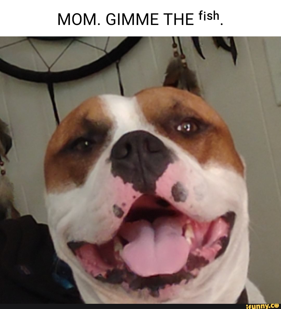 MOM. GIMME THE fish,