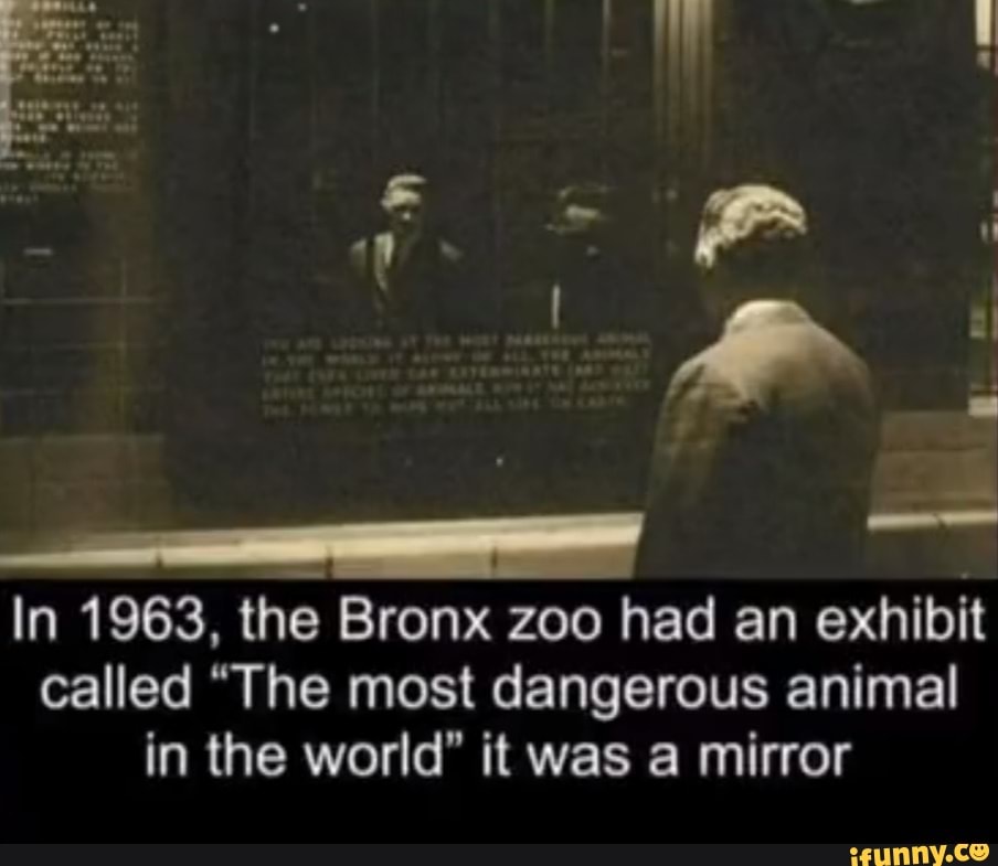 In 1963, the Bronx zoo had an exhibit called "The most dangerous animal