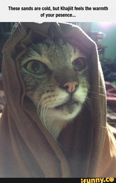 These sands are cold, but Khajiit feels the warmth of your pesenct