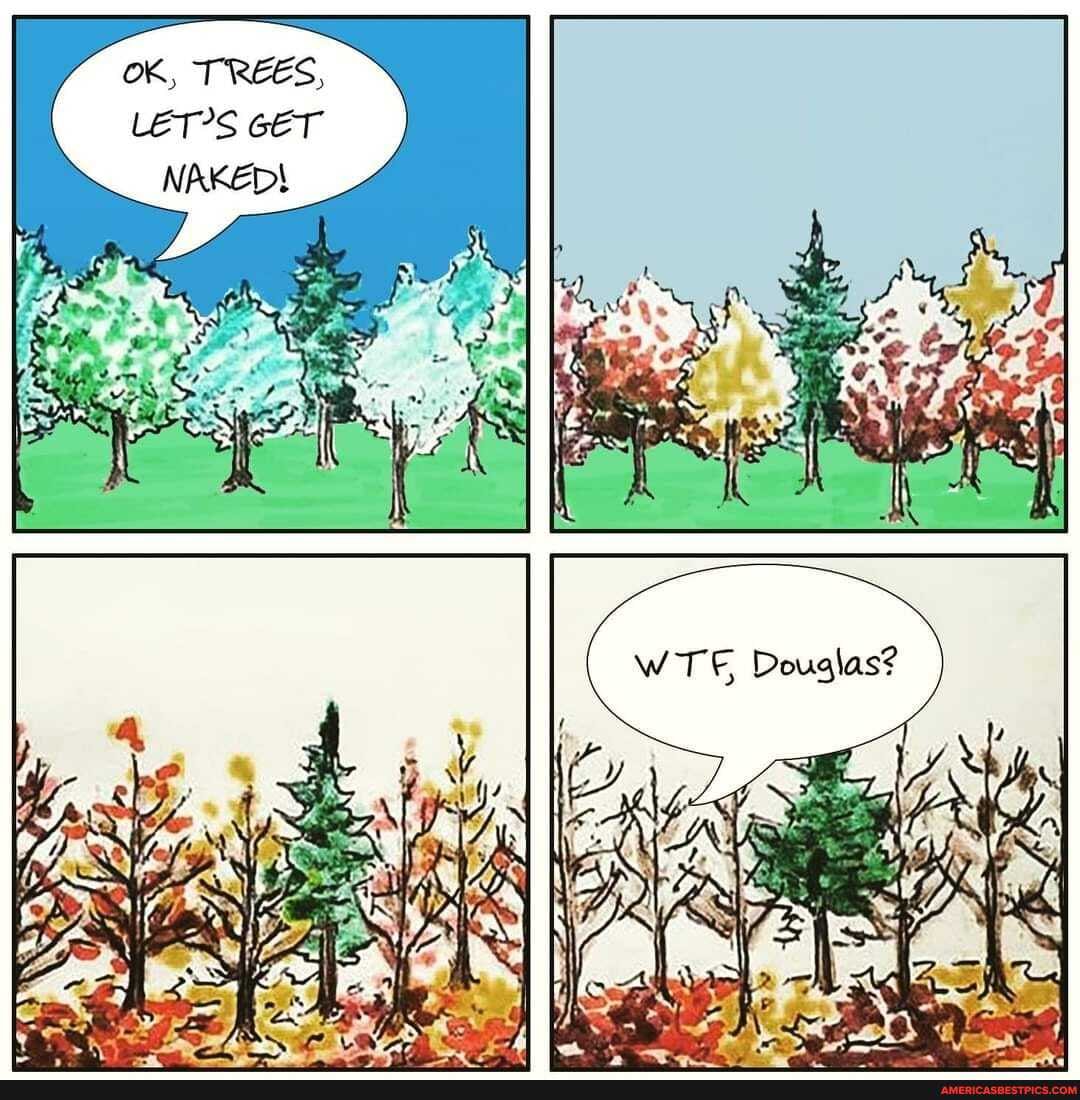 NAKED
GET
Ge
at
OK, TREES
WTE,
Ri
Douglas?
(Fy