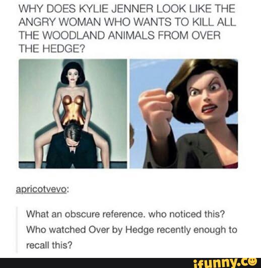 WHY DOES KYLIE JENNER LOOK LIKE THE
ANGRY WOMAN WHO WANTS TO KILL ALL
THE WOODLAND AN‘MALS FROM OVER
THE HEDGE?
What an obscure reference who named this?
Who watched Over by Hedge recently enough m
recall mls?