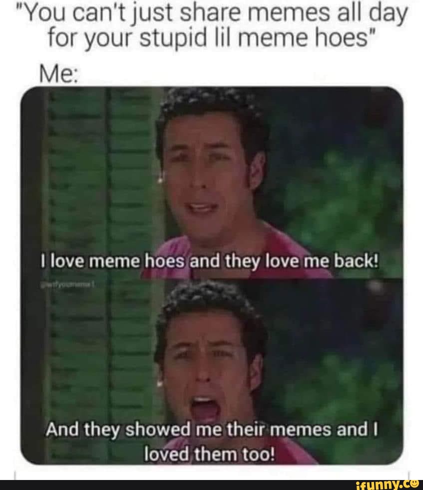your stupid meme