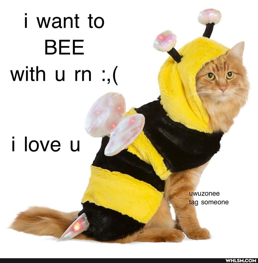 I want to
BEE with u rn
love u
UWUZONES
ag someone