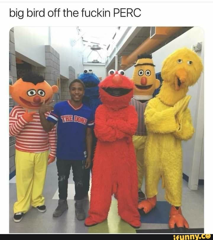 big bird off the fuckin PERC