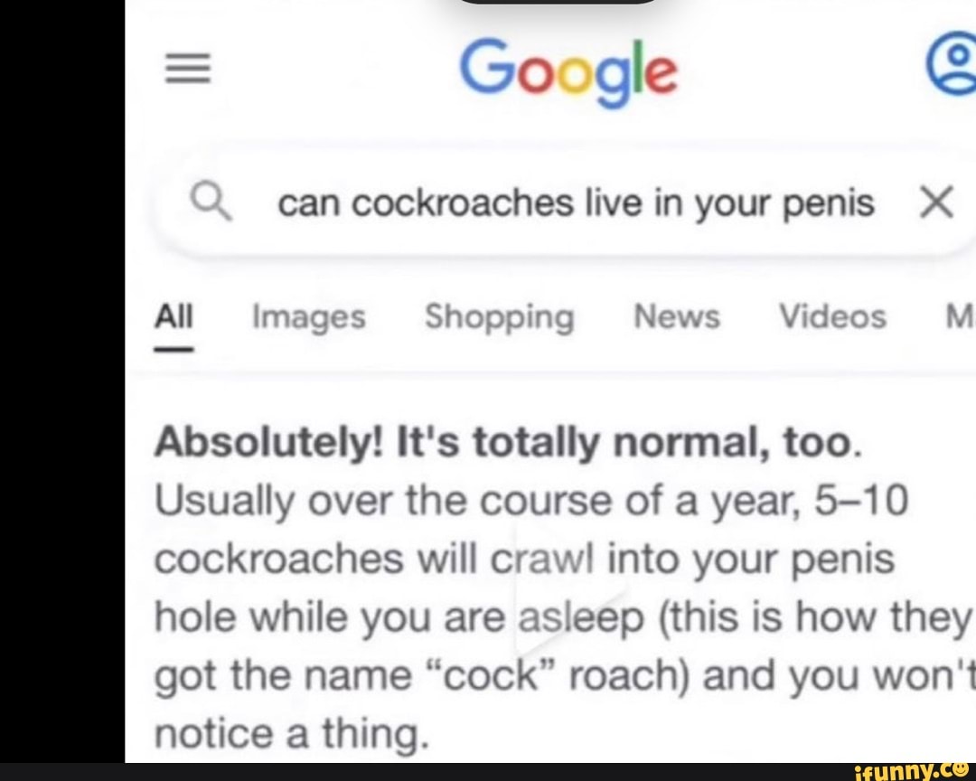 Top 8 can cockroaches live in your peni 2022