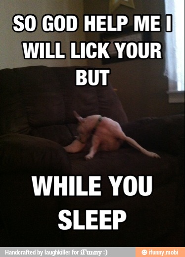 WILL LICK YOUR
SO GOD HELP ME I
BUT
WHILE YOU
SLEEP