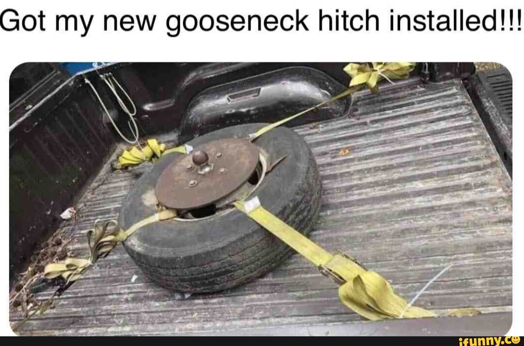 Gooseneck memes. Best Collection of funny Gooseneck pictures on iFunny