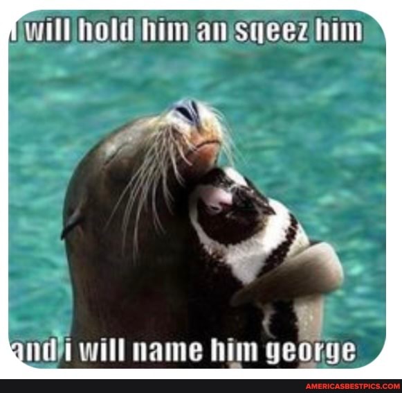 will hold himanisqeez him
will name him george