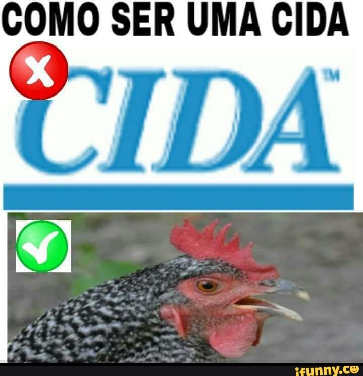 COMO SER UMA CIDA