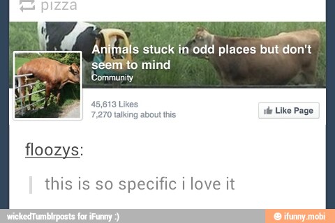 als stuck in odd places but don't
seem to mind
floozys:
this is so specific i love it