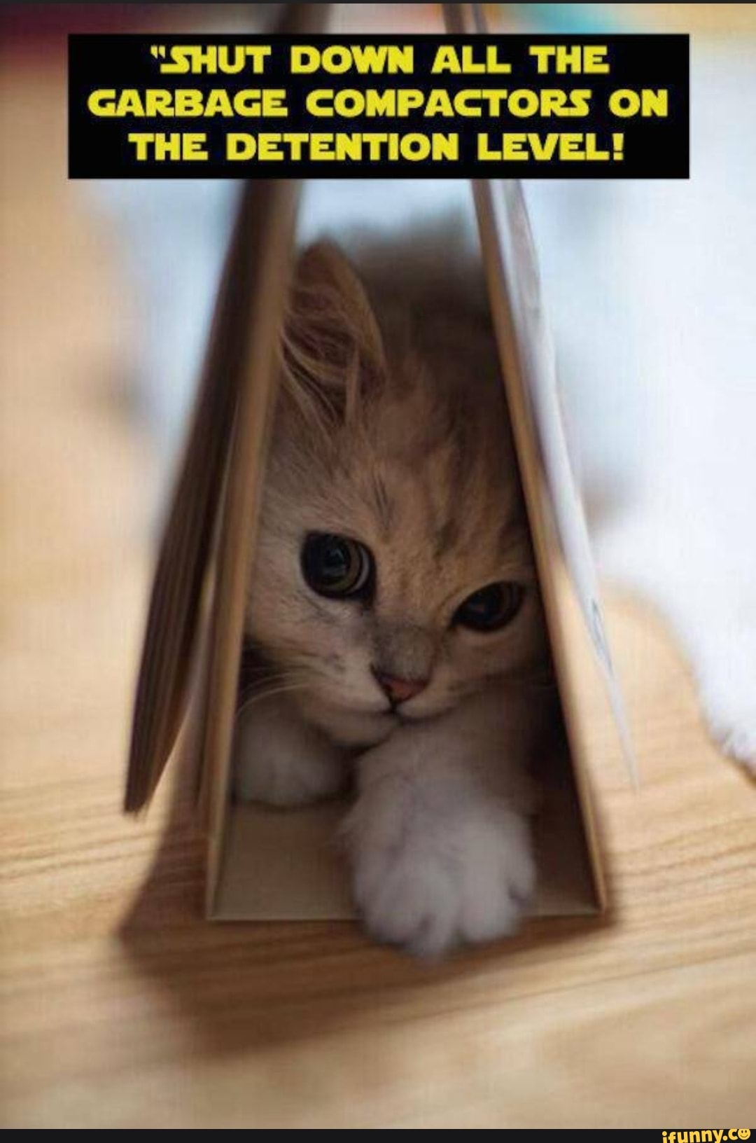 Compactors memes. Best Collection of funny Compactors pictures on iFunny