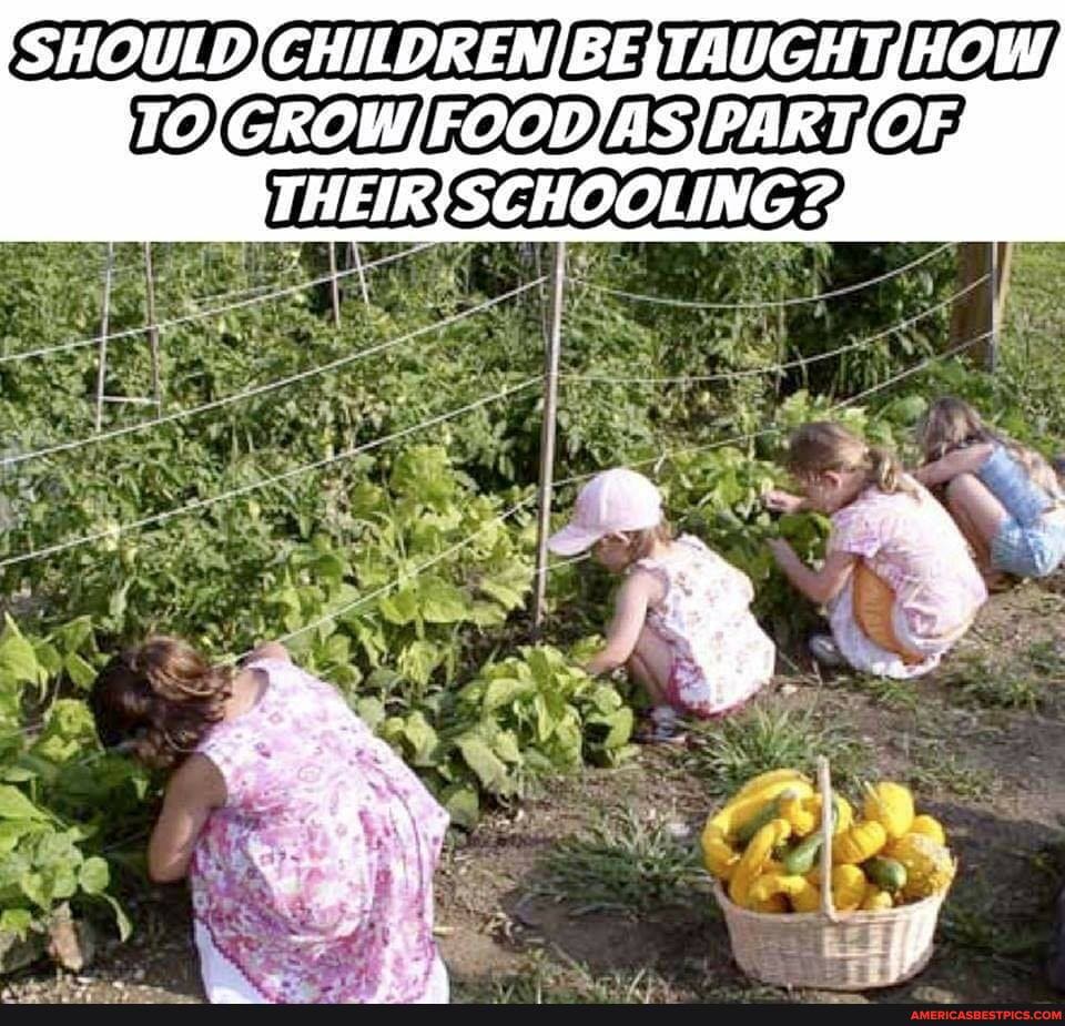 SHOULD
OF
THEIR} SCHOOLING %