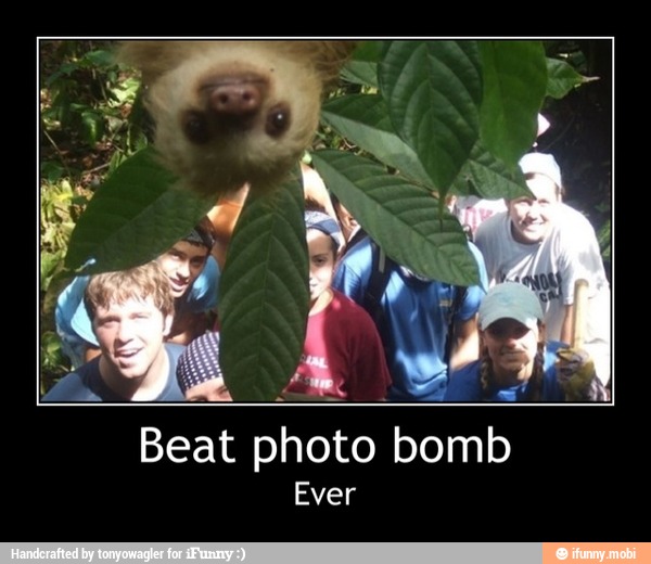 Beat photo bomb
Ever