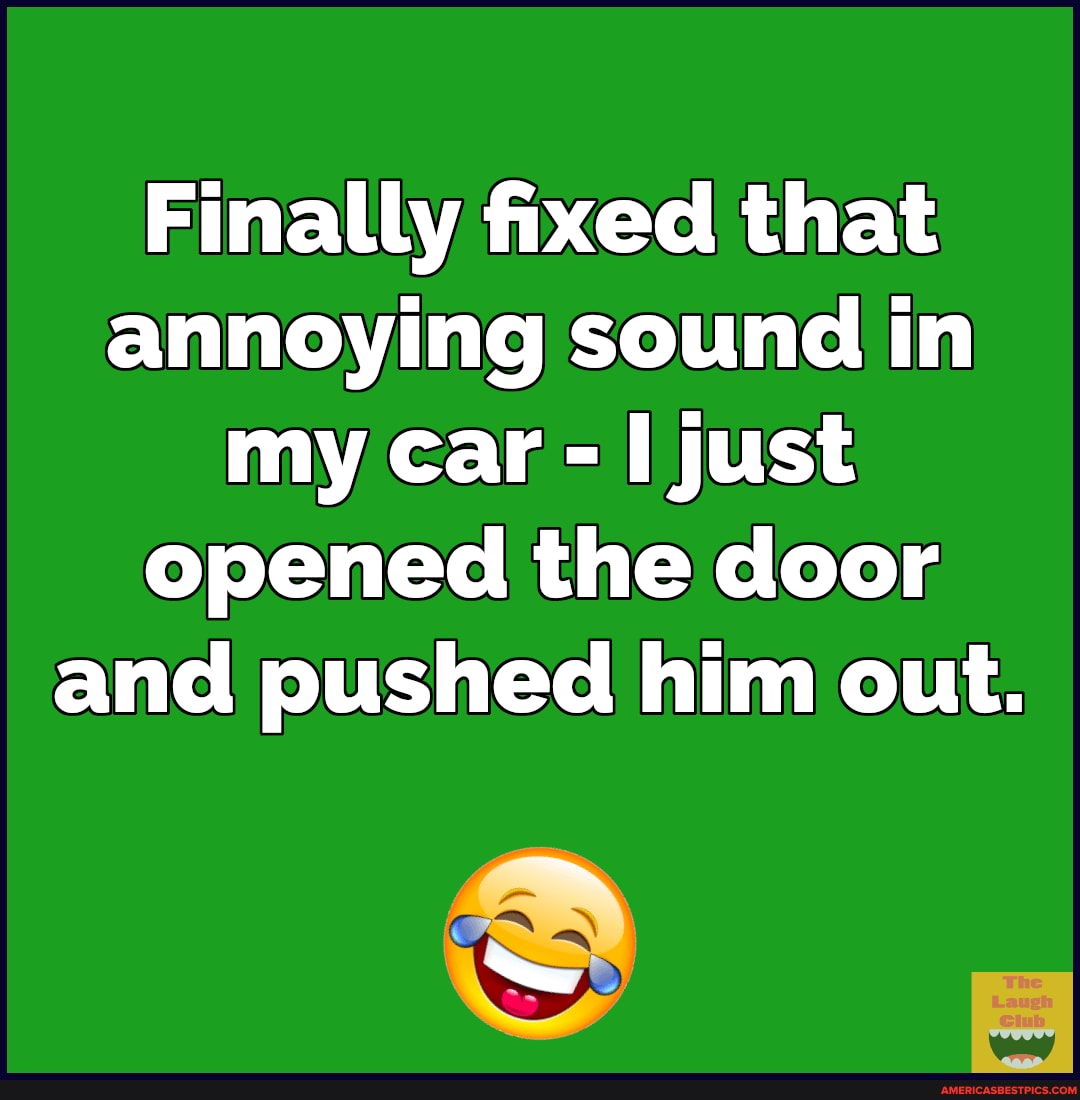 Finally fixed that annoying sound in my car just opened the door and pushed him out.