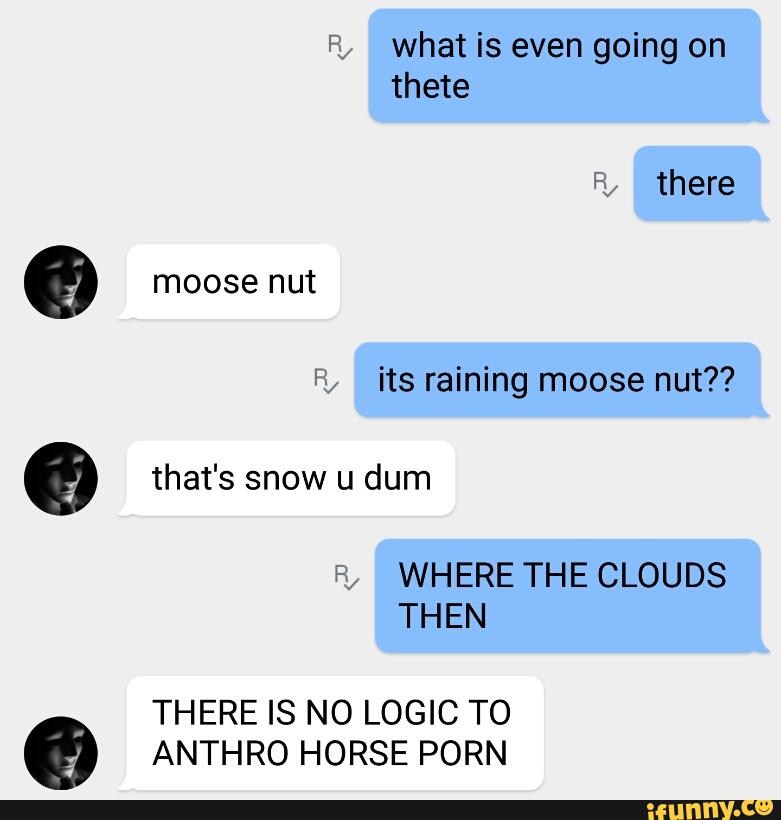Dum Dum - PORN that's snow u dum THERE IS NO LOGIC TO ANTHRO HORSE - iFunny :)