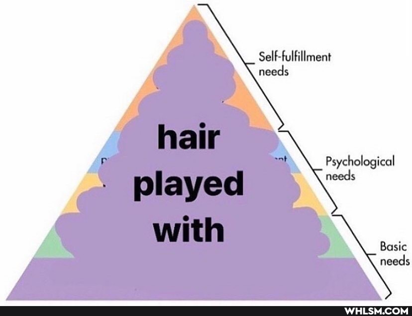 Self-fulfillment needs
hair
played
with
Psychological needs
Basic needs