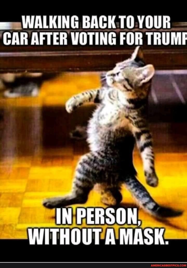 - WALKING BACK TO YOUR CAR AFTER VOTING FOR TRUME
IN PERSON,
WITHOUT A MASK.