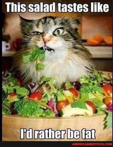 ike
Thts Salad tacte: like
Vil rather hie fat