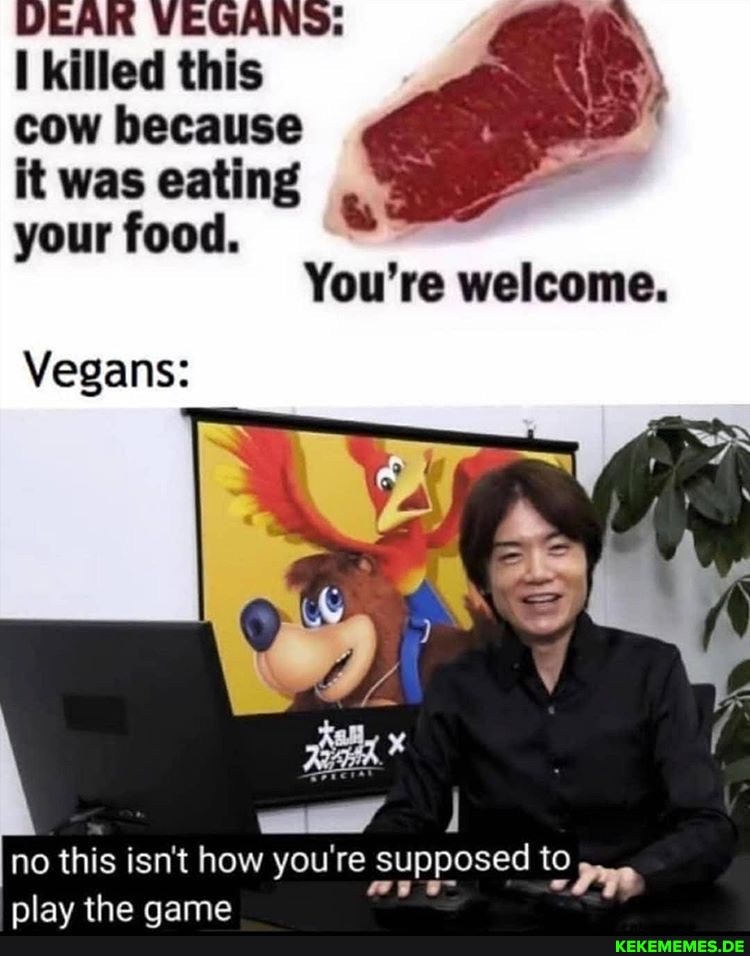 DEAK VEGANS: killed this cow because it was eating your food.
You're welcome.
Vegans:
ed to no this isn't how you re supposed ed to