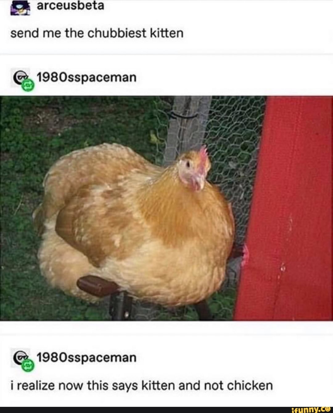 send me the chubbiest kitten
1980sspaceman
1980sspacemean
i realize now this says kitten and not chicken