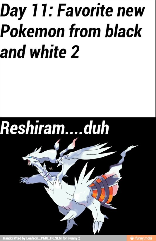 Day 11: Favorite new