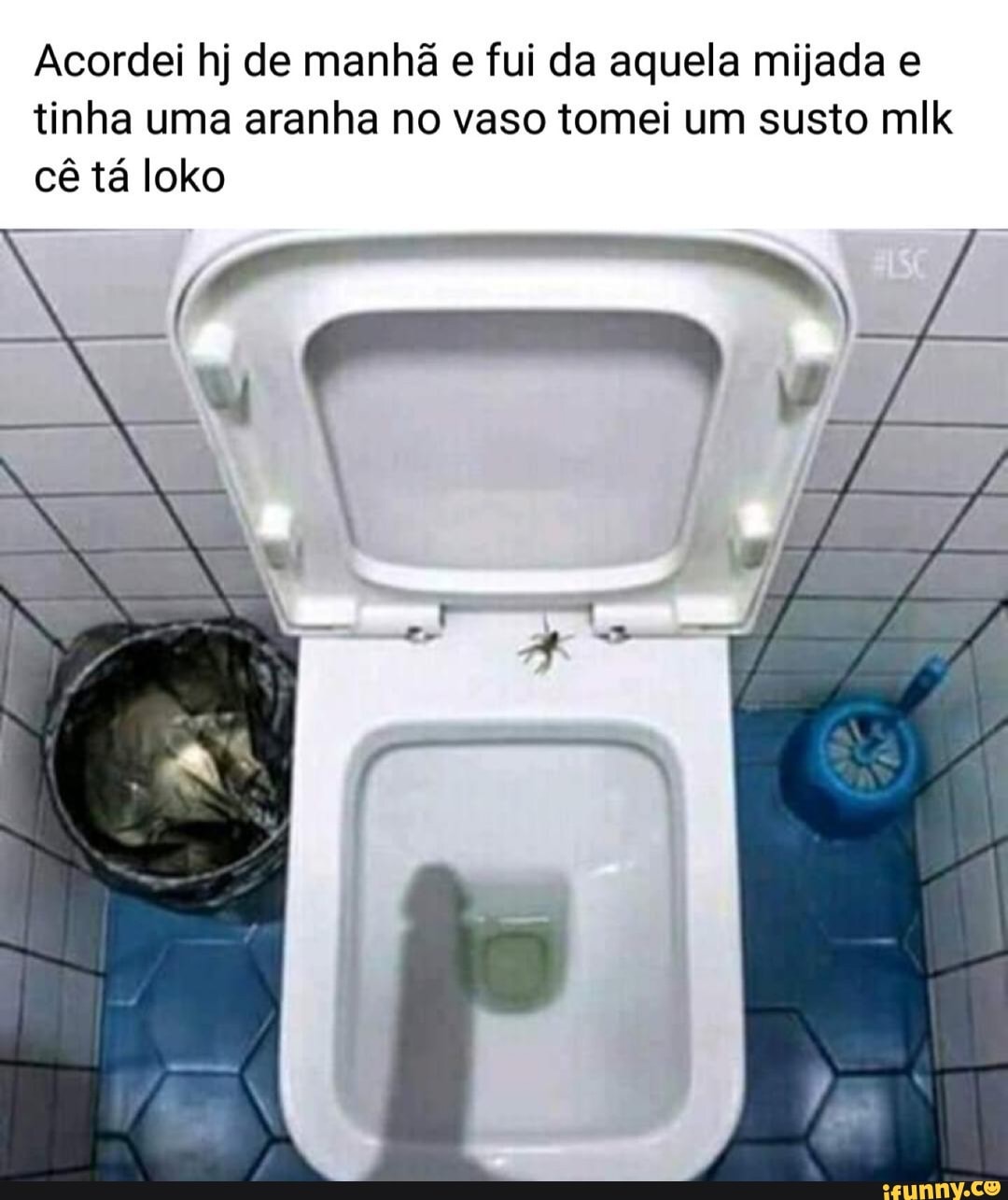 Acordei hj de manhã e fui da aquela mijada e tinha uma aranha no vaso tomei um susto mlk cê tá loko